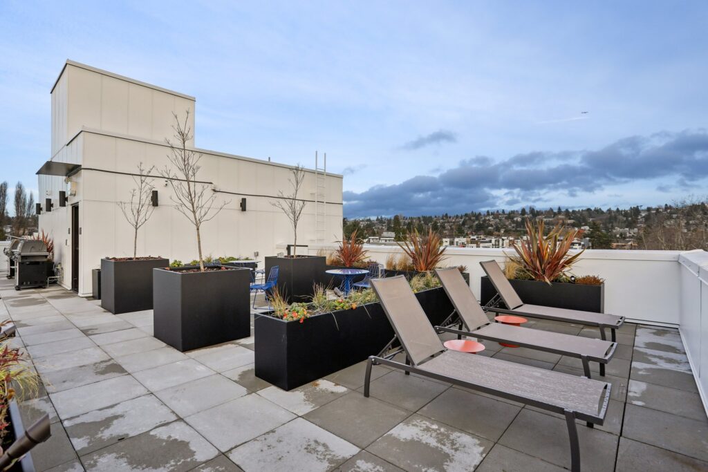Carrick rooftop deck with chaise lounges