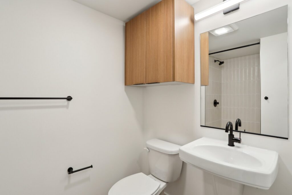 Carrick unit interior bathroom